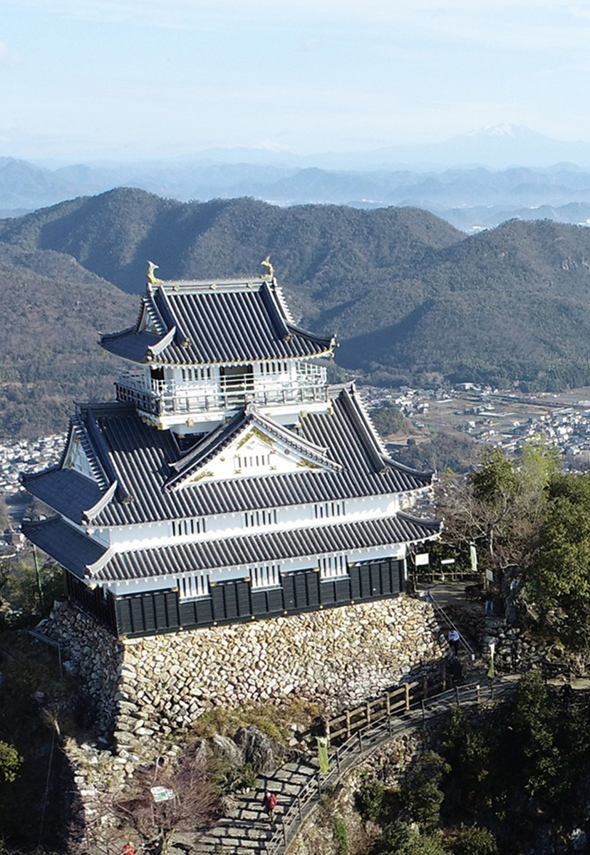 地域の街並みと山々の風景
