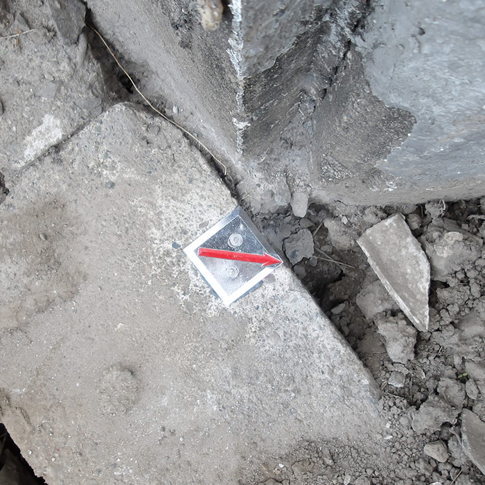 境界確定測量により設置された境界標（杭）の状況